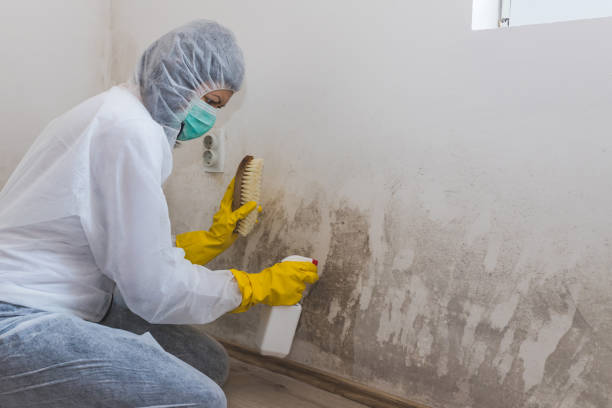 Best Mold Removal for HVAC Installations  in Mount Joy, PA