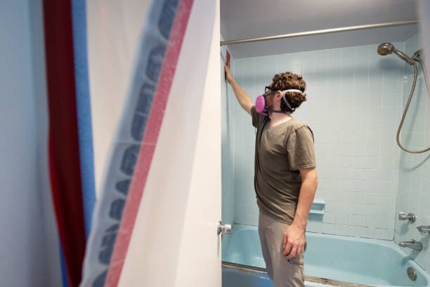 Reliable Mount Joy, PA Mold Removal Solutions