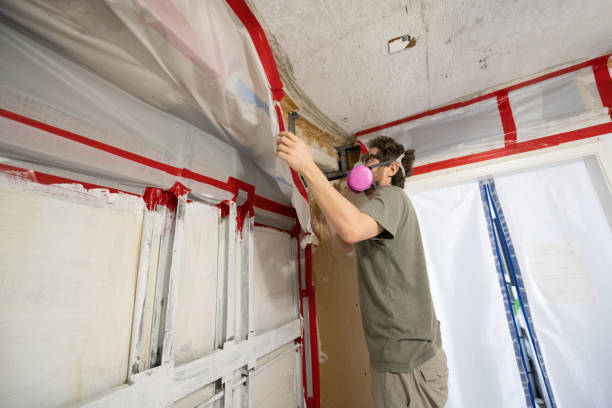 Best Dehumidification Services  in Mount Joy, PA