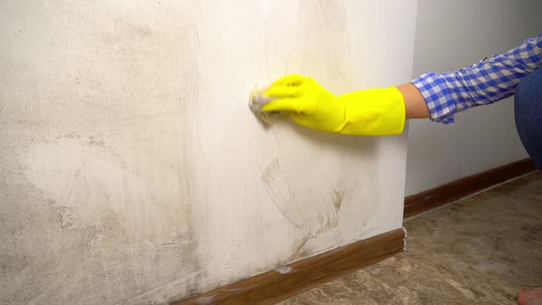 Mold Odor Removal Services in Mount Joy, PA